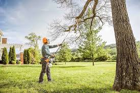  Reynolds Heights, PA Tree Removal Services Pros